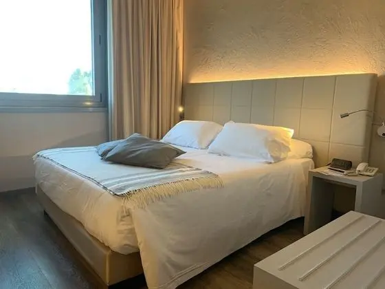 Standard Tek Büyük Yataklı Oda, 1 Çift Kişilik Yatak