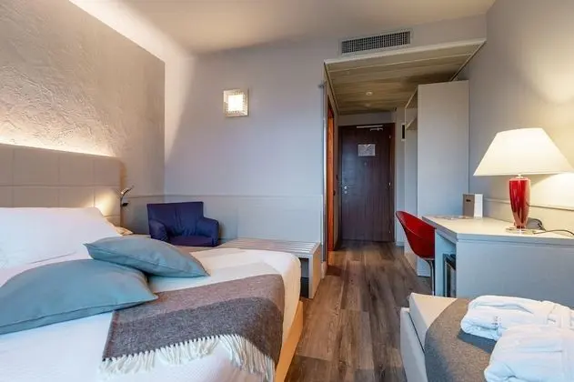 Standard Tek Büyük Yataklı Oda, 1 Çift Kişilik Yatak