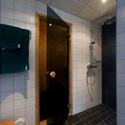 Süit