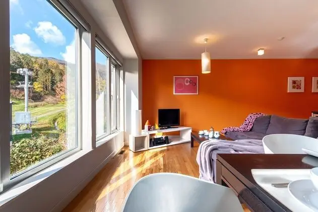 Apart Daire, 2 Yatak Odası (Extra futon for the 5th guest)