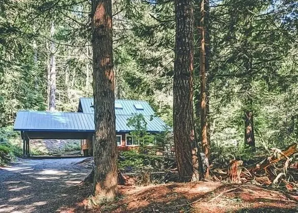 Kulübe, 2 Büyük (Queen) Boy Yatak (Firwood Cabin)