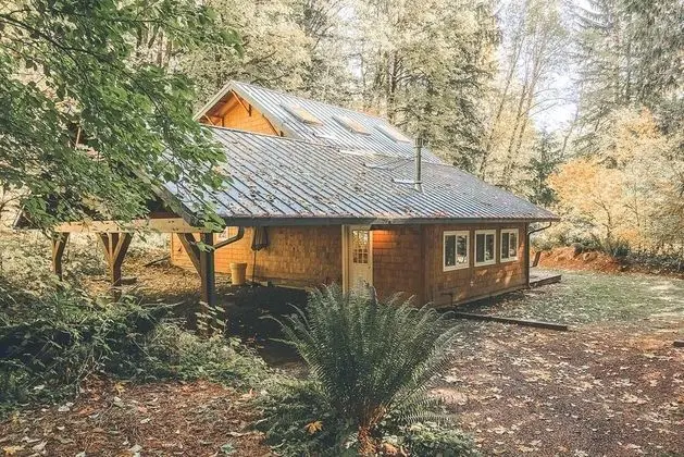 Kulübe, 2 Büyük (Queen) Boy Yatak (Firwood Cabin)
