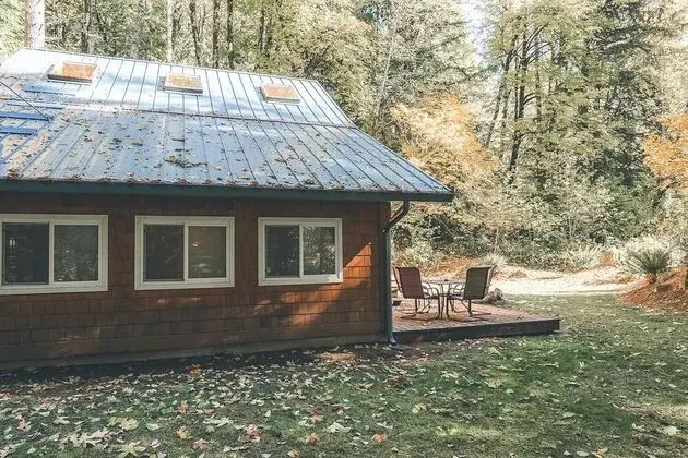 Kulübe, 2 Büyük (Queen) Boy Yatak (Firwood Cabin)
