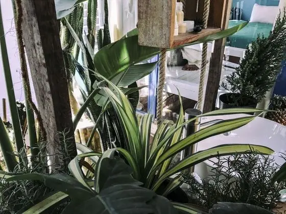 Üç Kişilik Oda, Özel Banyo, Bahçe Manzaralı