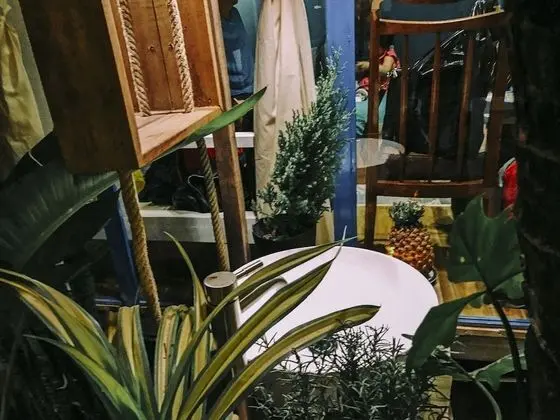 Üç Kişilik Oda, Özel Banyo, Bahçe Manzaralı