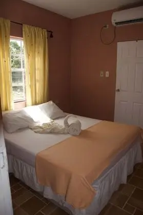 Standard Tek Büyük Yataklı Oda, 1 Yatak Odası, Bahçe Manzaralı