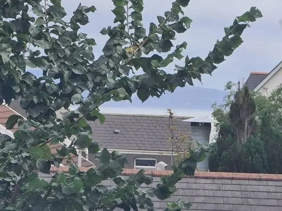 Kır Evi, Birden Çok Yatak