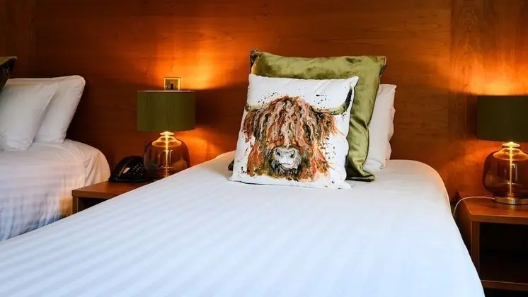 Cosy Twin Room