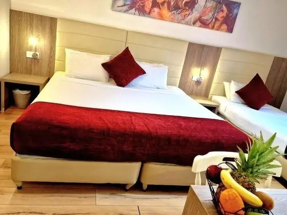 Basic İki Ayrı Yataklı Oda, Balkon, Bahçe Manzaralı