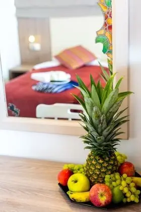 Basic İki Ayrı Yataklı Oda, Balkon, Bahçe Manzaralı
