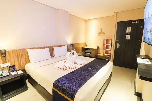 Superior Oda, 1 Çift Kişilik Yatak