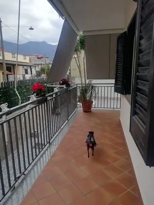 Basic Tek Büyük Yataklı Oda
