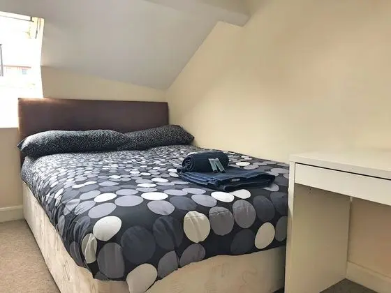 Tek Büyük Yataklı Oda (with Shared Bathroom)