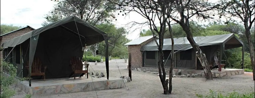 Twin Safari Tented Rooms