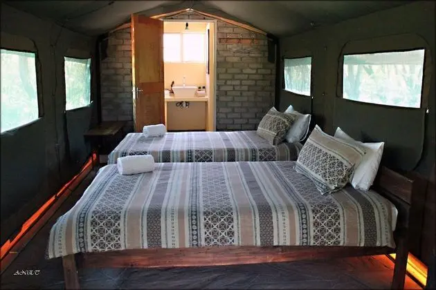 Twin Safari Tented Rooms