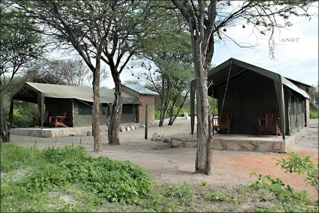 Twin Safari Tented Rooms