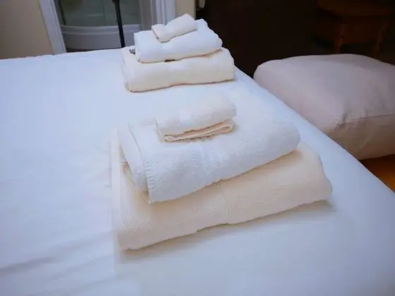 Tek Büyük Yataklı Oda (Double Spacious Room / Family)