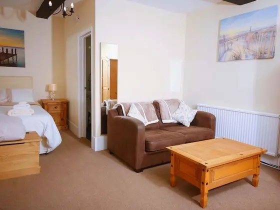 Tek Büyük Yataklı Oda (Double Spacious Room / Family)