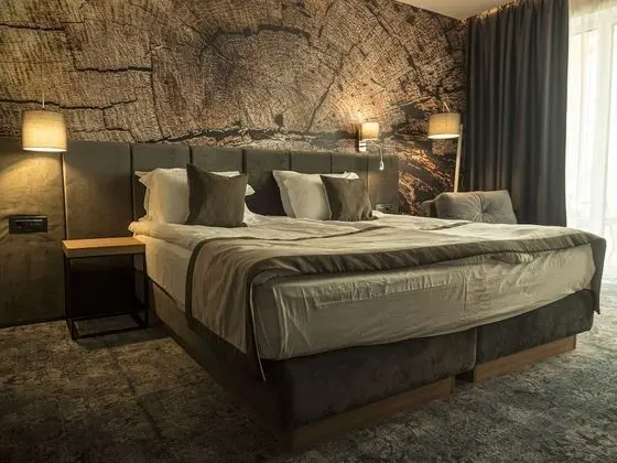 Comfort Oda, Dağ Manzaralı