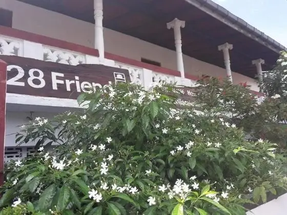 Villa, Birden Çok Yatak Odası