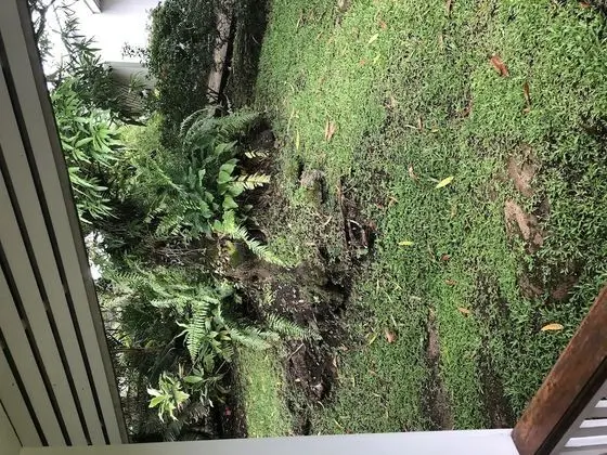 Tek Büyük Yataklı Oda, Küçük Mutfak (Garden View Bure)