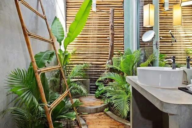 Deluxe Oda, Penceresiz (Reflect Skylight, Jungle Shower)