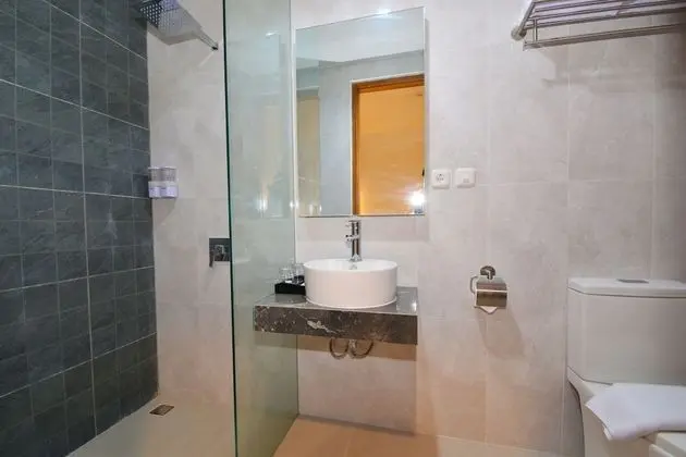 Deluxe Tek Büyük veya İki Ayrı Yataklı Oda