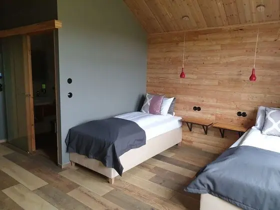 Standard Tek Büyük veya İki Ayrı Yataklı Oda