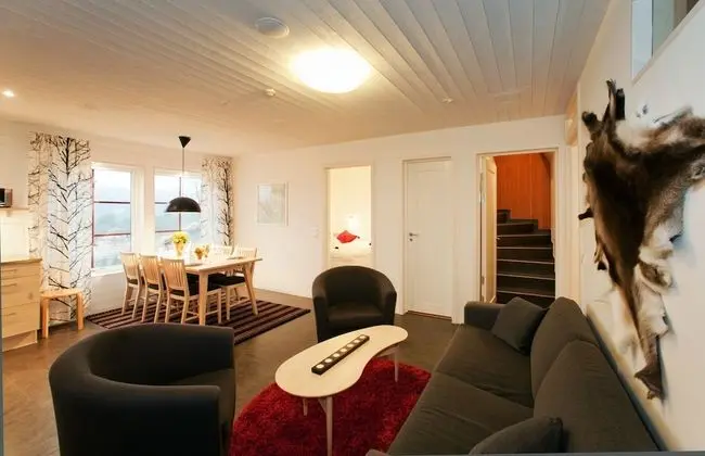 Comfort Dağ Evi (Nedre Järven)