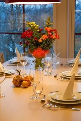 Comfort Dağ Evi (Nedre Järven)