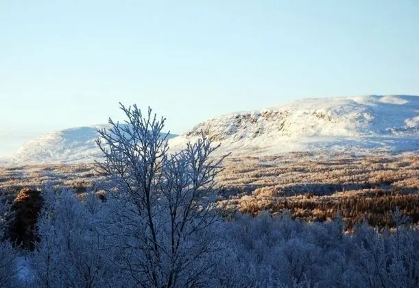 Exclusive Dağ Evi (Övre Järven)