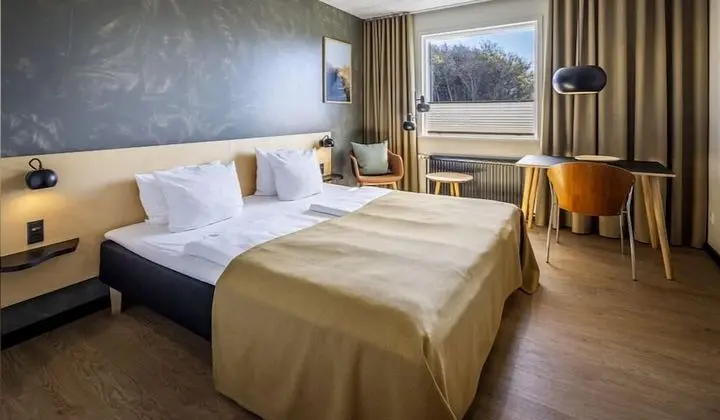 Standard Tek Büyük Yataklı Oda, Sigara İçilmez