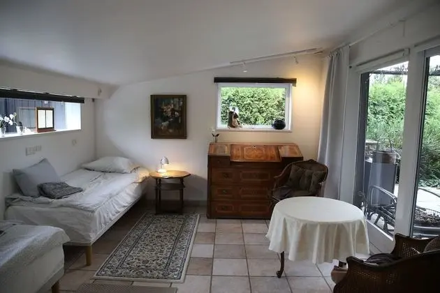 Ev, 5 Yatak Odası, Engellilere Uygun, Şömine