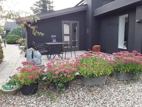 Ev, 5 Yatak Odası, Engellilere Uygun, Şömine