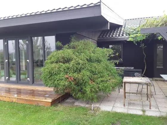 Ev, 5 Yatak Odası, Engellilere Uygun, Şömine