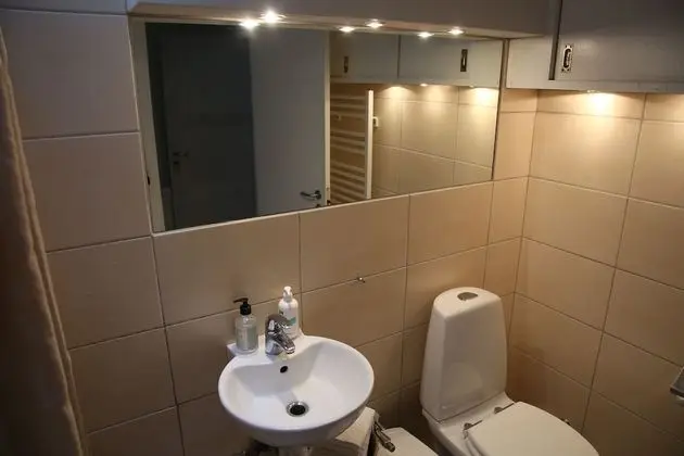 Ev, 5 Yatak Odası, Engellilere Uygun, Şömine