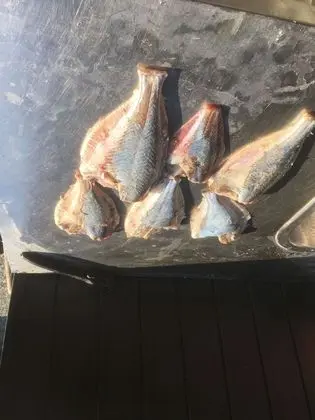 Ev, 5 Yatak Odası, Engellilere Uygun, Şömine