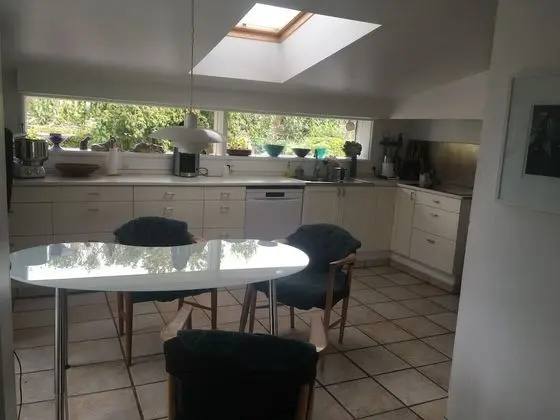 Ev, 5 Yatak Odası, Engellilere Uygun, Şömine