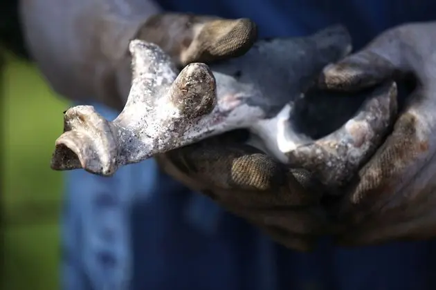 Ev, 5 Yatak Odası, Engellilere Uygun, Şömine