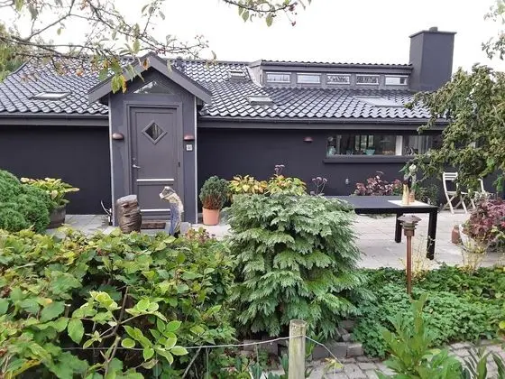 Ev, 5 Yatak Odası, Engellilere Uygun, Şömine