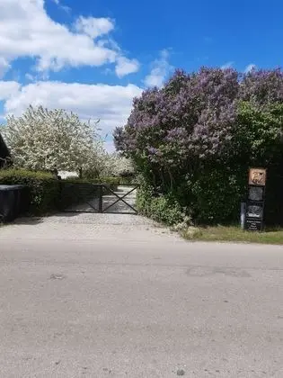 Ev, 5 Yatak Odası, Engellilere Uygun, Şömine