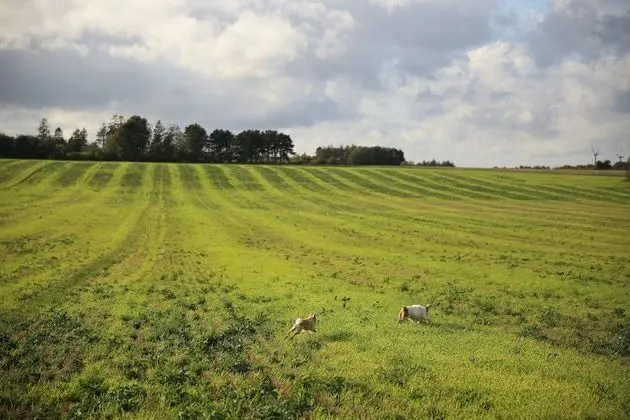 Ev, 5 Yatak Odası, Engellilere Uygun, Şömine