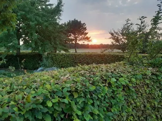 Ev, 5 Yatak Odası, Engellilere Uygun, Şömine