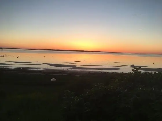 Ev, 5 Yatak Odası, Engellilere Uygun, Şömine