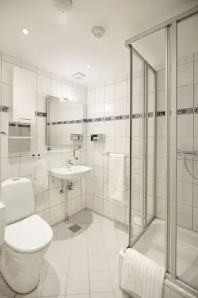 Deluxe Tek Büyük Yataklı Oda, Ortak Banyo