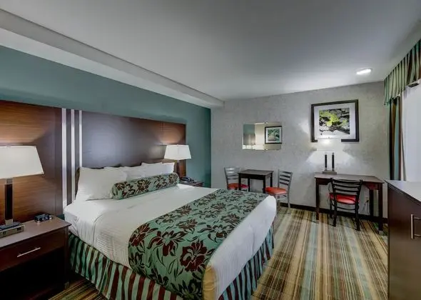 Oda, 1 Büyük (Queen) Boy Yatak (No Pets)