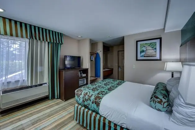 Oda, 1 Büyük (Queen) Boy Yatak (No Pets)