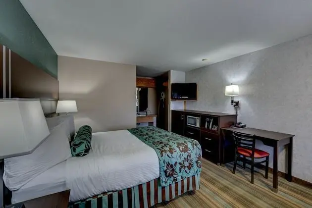 Oda, 1 Büyük (Queen) Boy Yatak (No Pets)