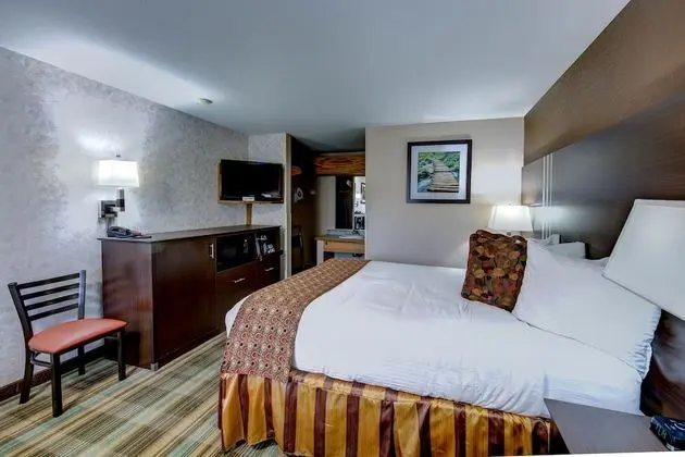 Oda, 1 Büyük (Queen) Boy Yatak (No Pets)