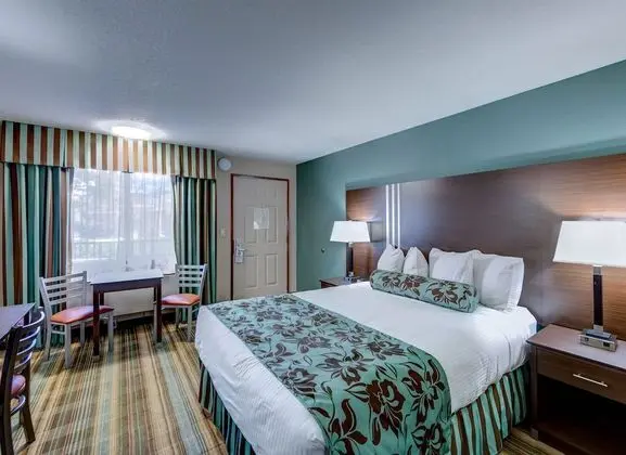 Oda, 1 Büyük (Queen) Boy Yatak (No Pets)